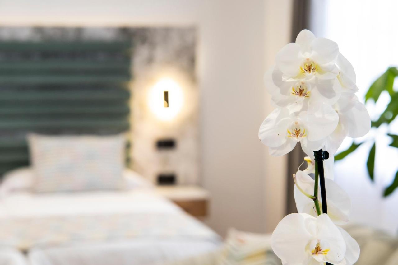 Laguna Home & Suites Σαν Κριστόμπαλ ντε Λα Λαγούνα Εξωτερικό φωτογραφία