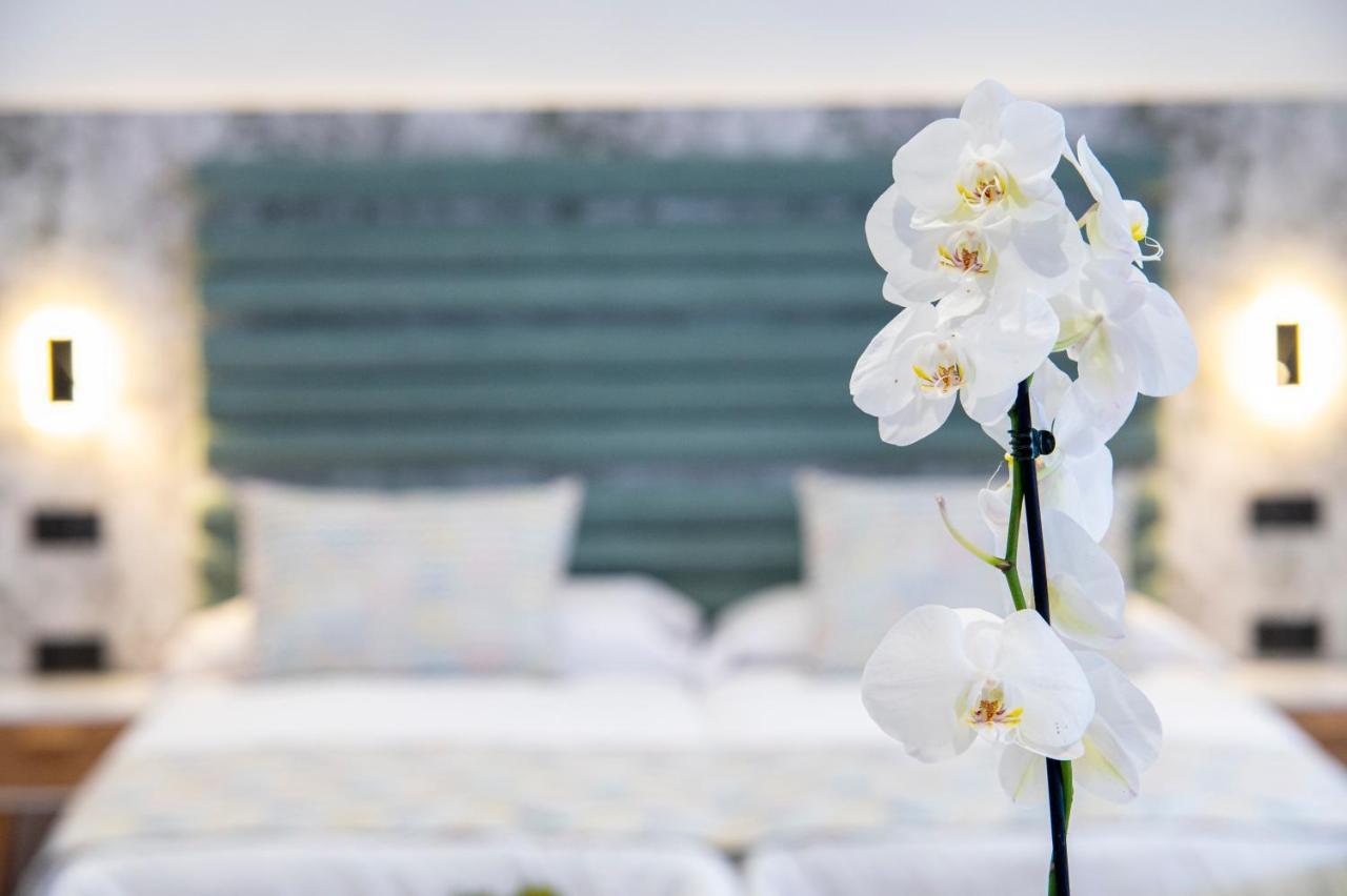 Laguna Home & Suites Σαν Κριστόμπαλ ντε Λα Λαγούνα Εξωτερικό φωτογραφία